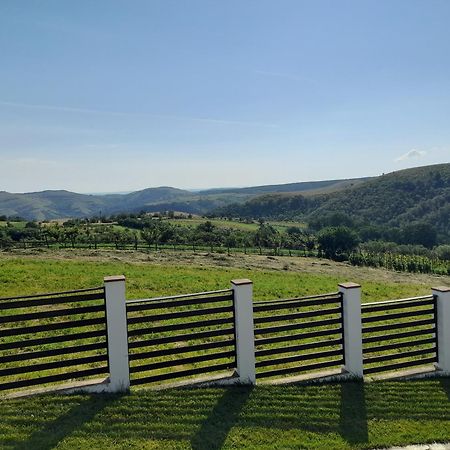 Vila Aloman Szászsebes Kültér fotó