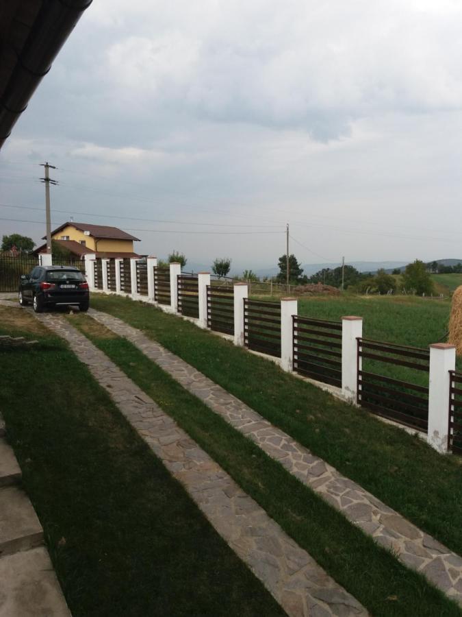 Vila Aloman Szászsebes Kültér fotó