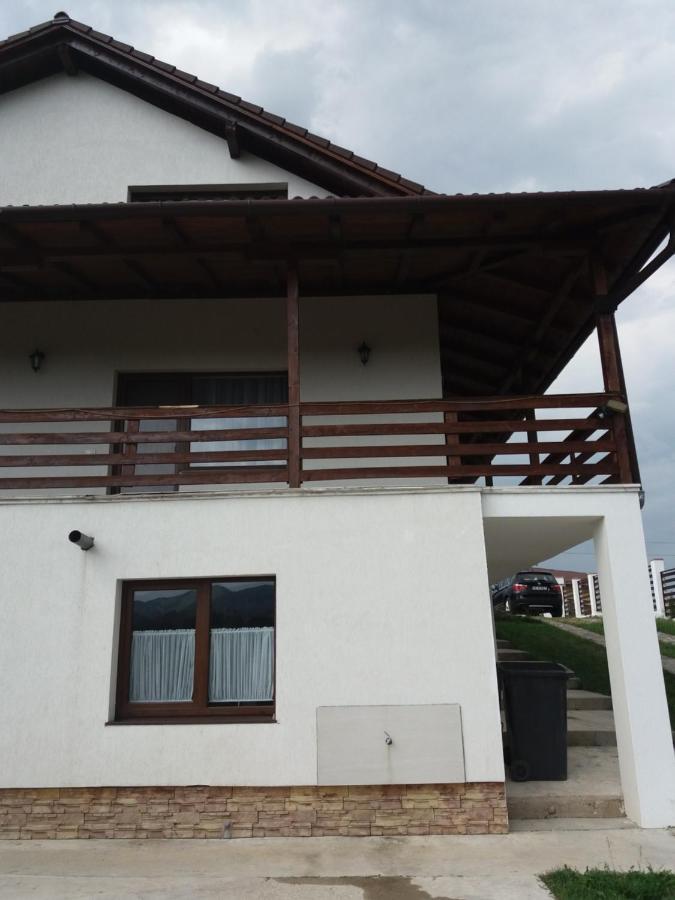 Vila Aloman Szászsebes Kültér fotó