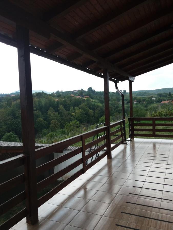 Vila Aloman Szászsebes Kültér fotó