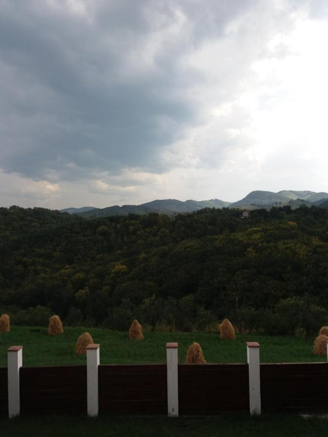 Vila Aloman Szászsebes Kültér fotó