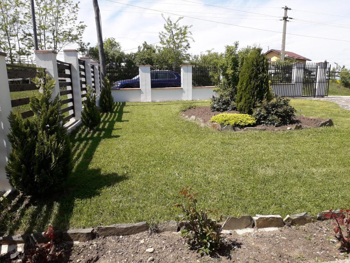 Vila Aloman Szászsebes Kültér fotó