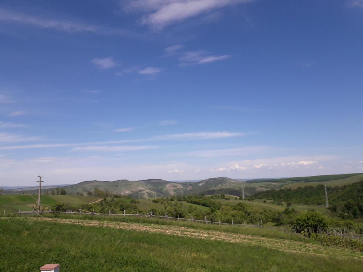 Vila Aloman Szászsebes Kültér fotó