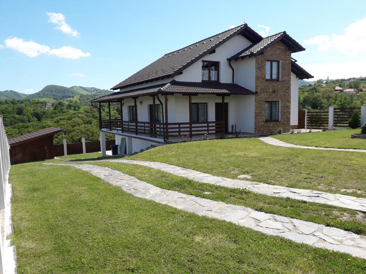 Vila Aloman Szászsebes Kültér fotó